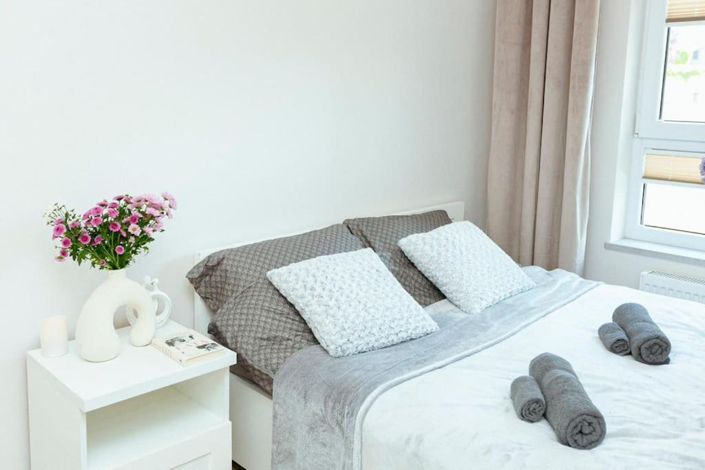 Apartment Przytulny Niedaleko Lotniska W Modlinie